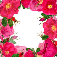 Pink rosehip frame template watercolor