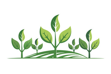 Obraz premium green plant isolated on white backgroud, ecology content