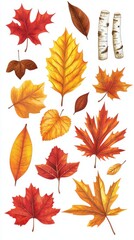 Fototapeta premium Vibrant of Autumn Leaves Variety on White Background