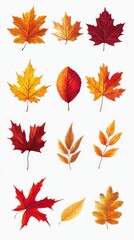 Fototapeta premium Vibrant Vector Illustration of Autumn Leaves - Maple, Birch, and More on White Background