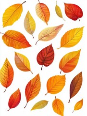 Colorful Autumn Leaves Illustration on White Background