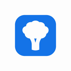 broccoli healthy food vegetable icon