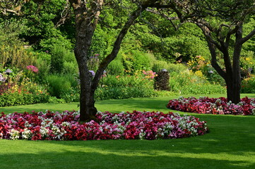 Where Nature Performs Its Colorful Symphony: A Garden's Blooming Marvels of British Columbia, Canada