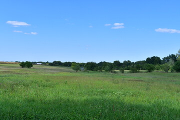 Fototapeta premium Field