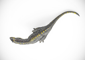 giganotosaurus is lying down and resting on white background top view © DM7
