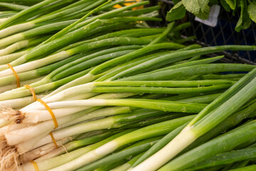 Fresh scallions on market stands