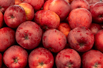 Fresh red apples full of frame pattern