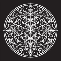 Vector of a mandala with mystical .eps