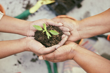 Unity, support and hands with soil and plant for eco friendly, sustainable and ecology project....