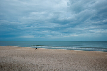 A serene coastal scene featuring a vast sandy beach under an expansive, cloudy blue sky.