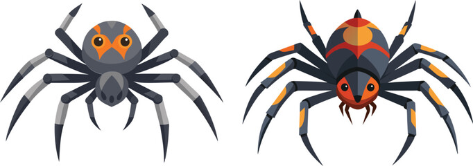 Spider Animal flat vector illustration on white background. 