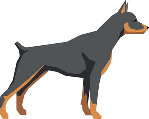 Doberman breed. Dog color icon. Standing animal