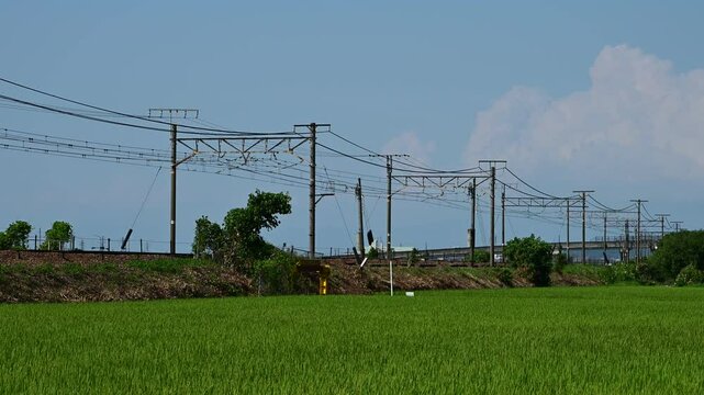 EF65に牽引されるサロンカーなにわ （東海道本線 安土 - 能登川, 2024年8月）