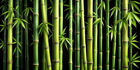 Fototapeta premium Abstract bamboo background