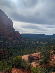 Rocky desert