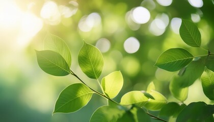 slow motion green leaves sway gently in the breeze nature beautiful bokeh background