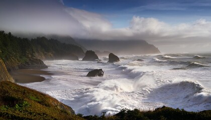 Obraz premium fury on the oregon coast