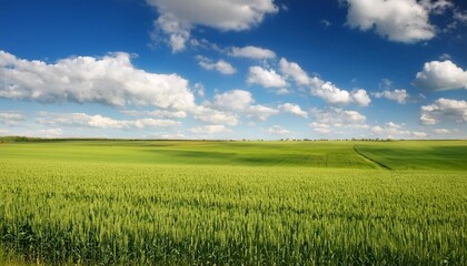 american farmland with blue cloudy sky