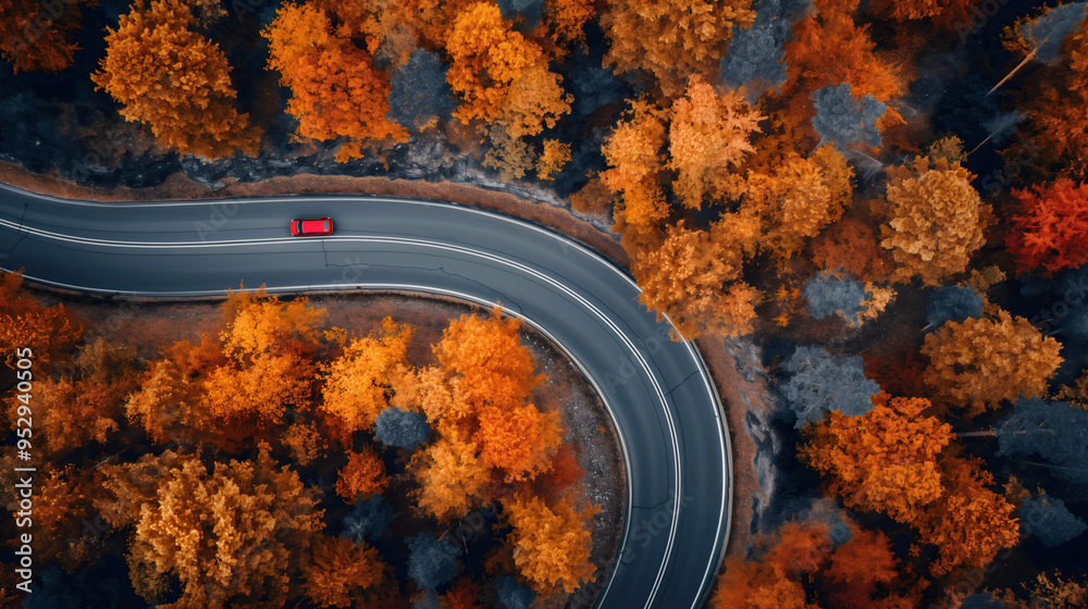 Wall mural aerial view of car traveling on a curvy road through autumn forest, fall foliage from above, scenic 