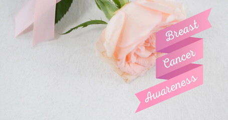 Image of breast cancer awareness text over white rose