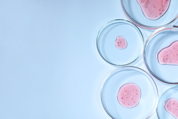 Naklejka premium Petri dishes with samples on light blue background, top view. Space for text