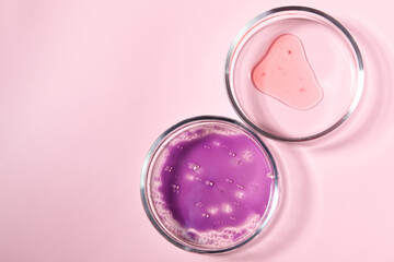 Petri dishes with samples on pink background, top view. Space for text