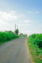 Asphalt road with green tropical forest at countryside