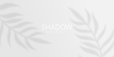 abstract modern leaf shadow overlay design on grey background