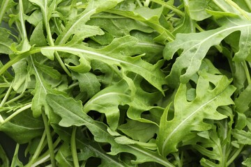 Fototapeta premium Many fresh arugula leaves with water drops as background, top view
