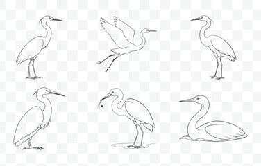 Elegant Egret Line Art Vector Set with Detailed Illustrations for Creative Projects and Design
