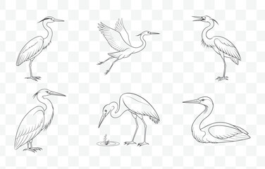 Heron Line Art Vector Set with Detailed Illustrations of Elegant Birds for Creative Projects