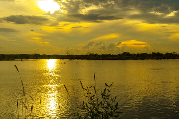A breathtaking sunset casts golden hues over a tranquil pond near Mengare, Gresik, Indonesia