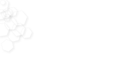 Abstract White Hexagonal Background. Luxury White Pattern. Vector Illustration. white and gray backdrop wallpaper. Seamless pattern with hexagon. White Hexagonal Background. 