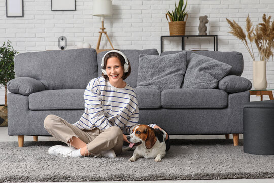 Young woman in headphones with cute Beagle dog sitting on floor near sofa at home