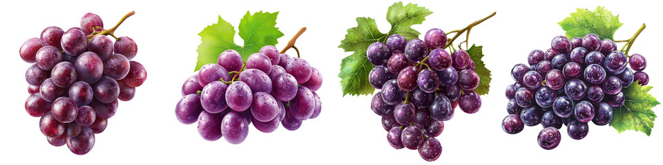 Fototapeta premium Close-up of four bunches of ripe purple grapes with green leaves, isolated on a white background, showcasing their vibrant color and fresh appearance.