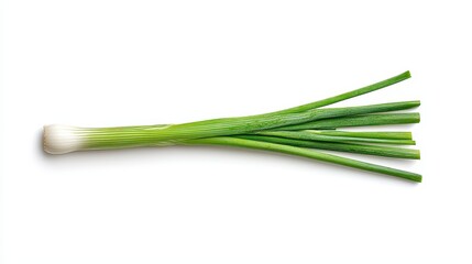 Fresh Green Scallions Isolated on White Background