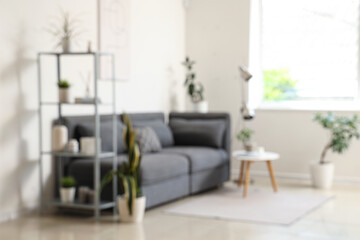 Interior of modern stylish living room with sofa, shelving unit and different houseplants, blurred view