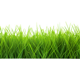 Green grass frame isolated on transparent background