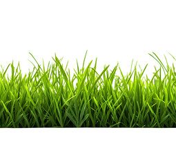 Fototapeta premium Green grass frame isolated on transparent background