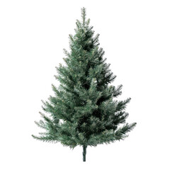 Fototapeta premium Christmas tree object isolated on transparent png.