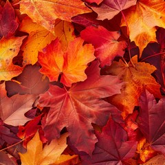 Fototapeta premium Red and orange autumn leaves background. Outdoor. Colorful background image of fallen autumn leaves perfect for seasonal use. Space for text.