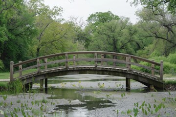 Zen Garden Footbridge