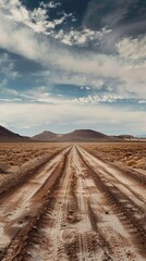 Vanishing Tracks in Desert Expanse