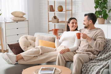 Young couple with cups of tea at home on autumn day