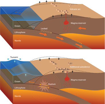 Illustration of Megathrust Earthquake Diagram