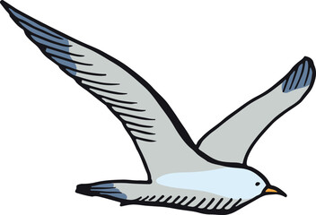 Seagull color sketch. Marine bird. Hand drawn animal