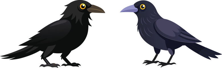 crow illustration on white 