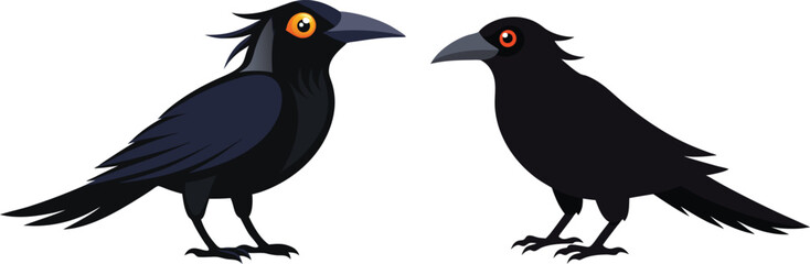crow illustration on white 
