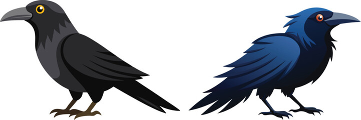 crow illustration on white 