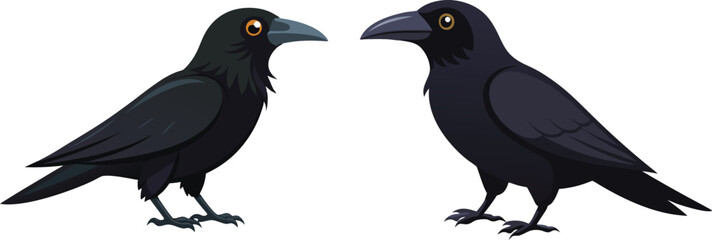 crow illustration on white 
